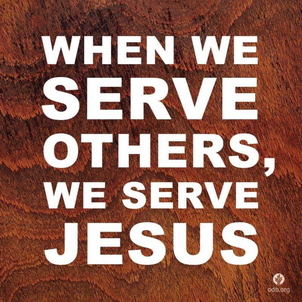 Meet your Posher, Patty